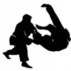 Hapkido em Contagem
