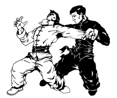Kung Fu em Contagem