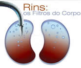 Nefrologia e Nefrologista em Contagem